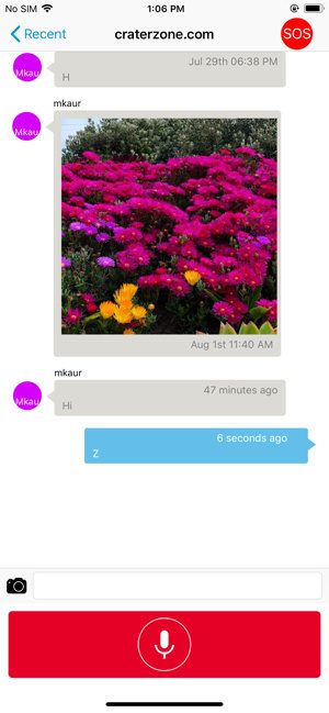 VoicePing chat interface.