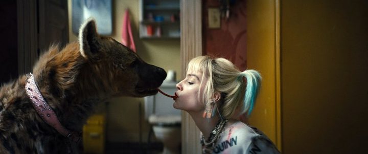 Margot Robbie and a hyena in Birds of Prey