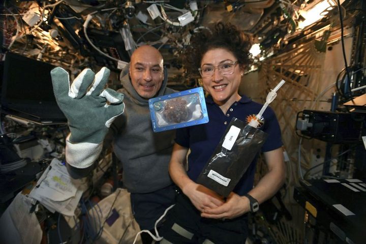 A cookie baked on the space station.