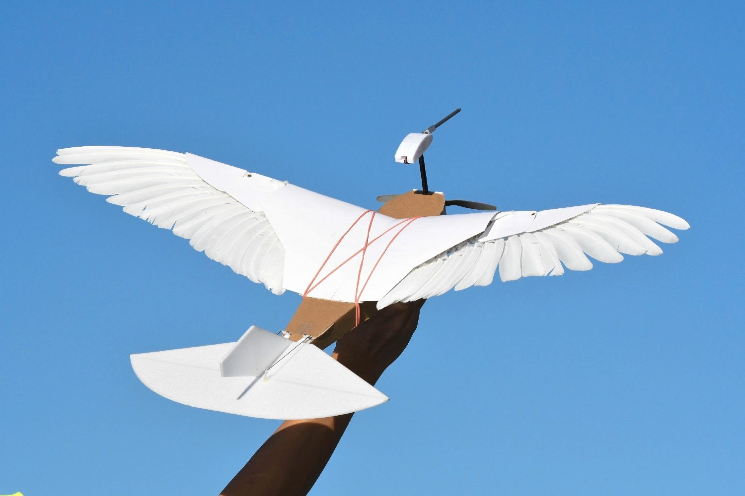 pigeon bot feather drone takes flight dl0 6689