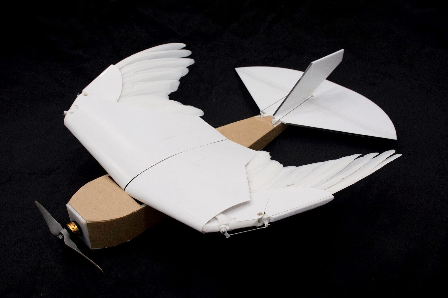 pigeon bot feather drone takes flight dl0 7394
