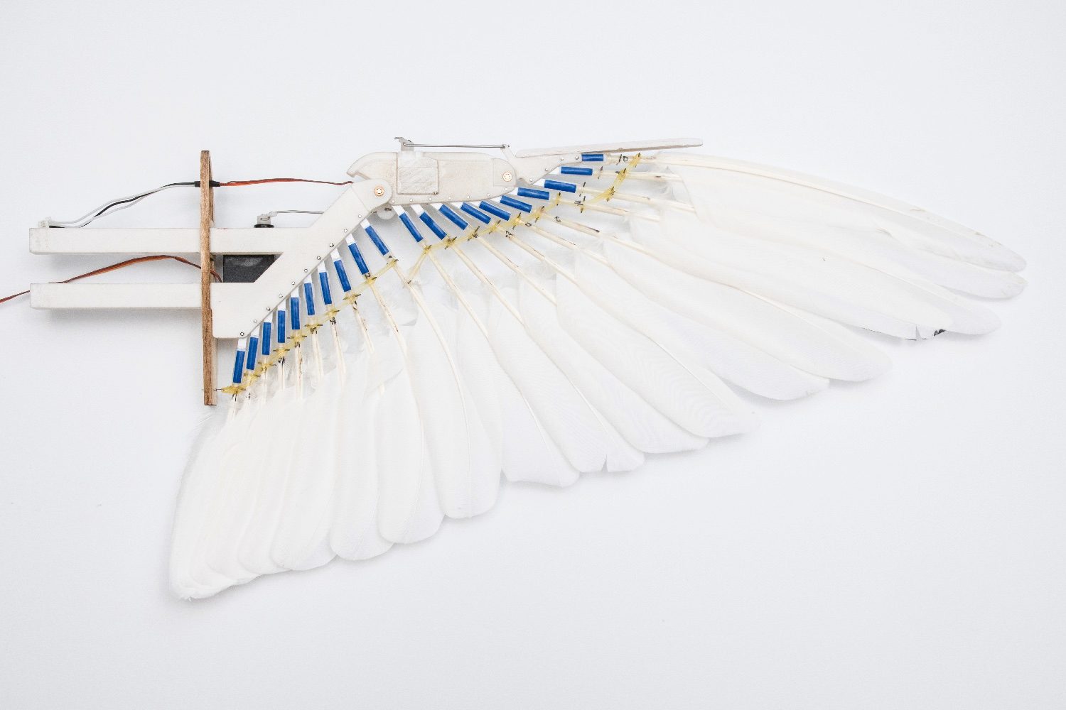 pigeon bot feather drone takes flight dl0 8209 3