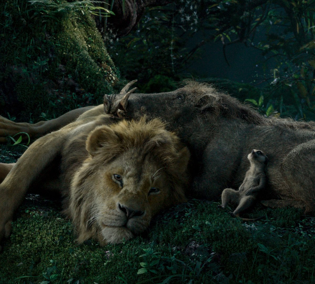 Simba, Timone, and Pumba sleeping in the Jungle | Lion King VFX