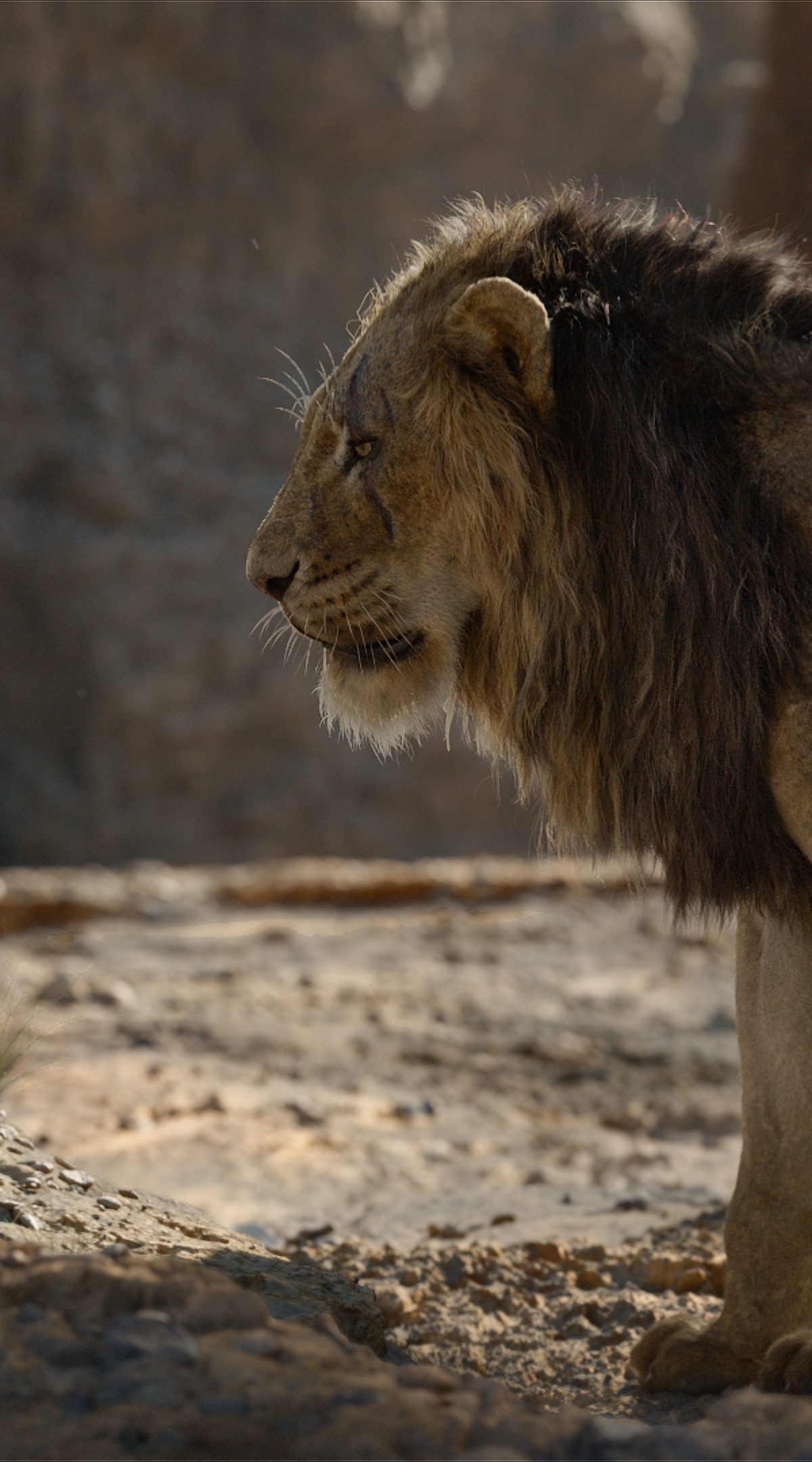 Young Simba and Scar in the Pride Lands | Lion King VFX