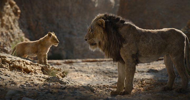 Young Simba and Scar in the Pride Lands | Lion King VFX