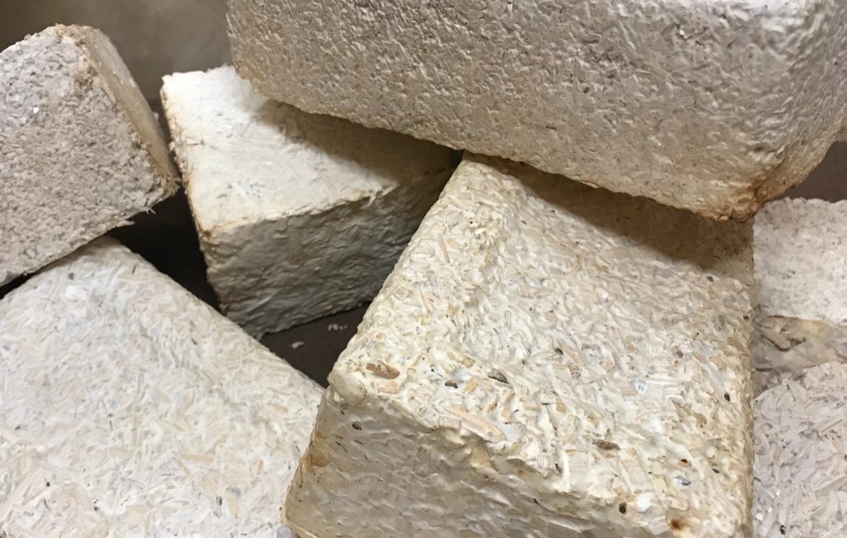 Mushroom bricks
