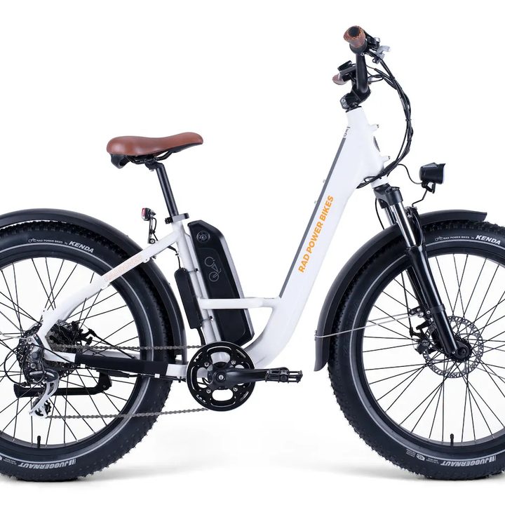 RadRover Step-Thru e-bike