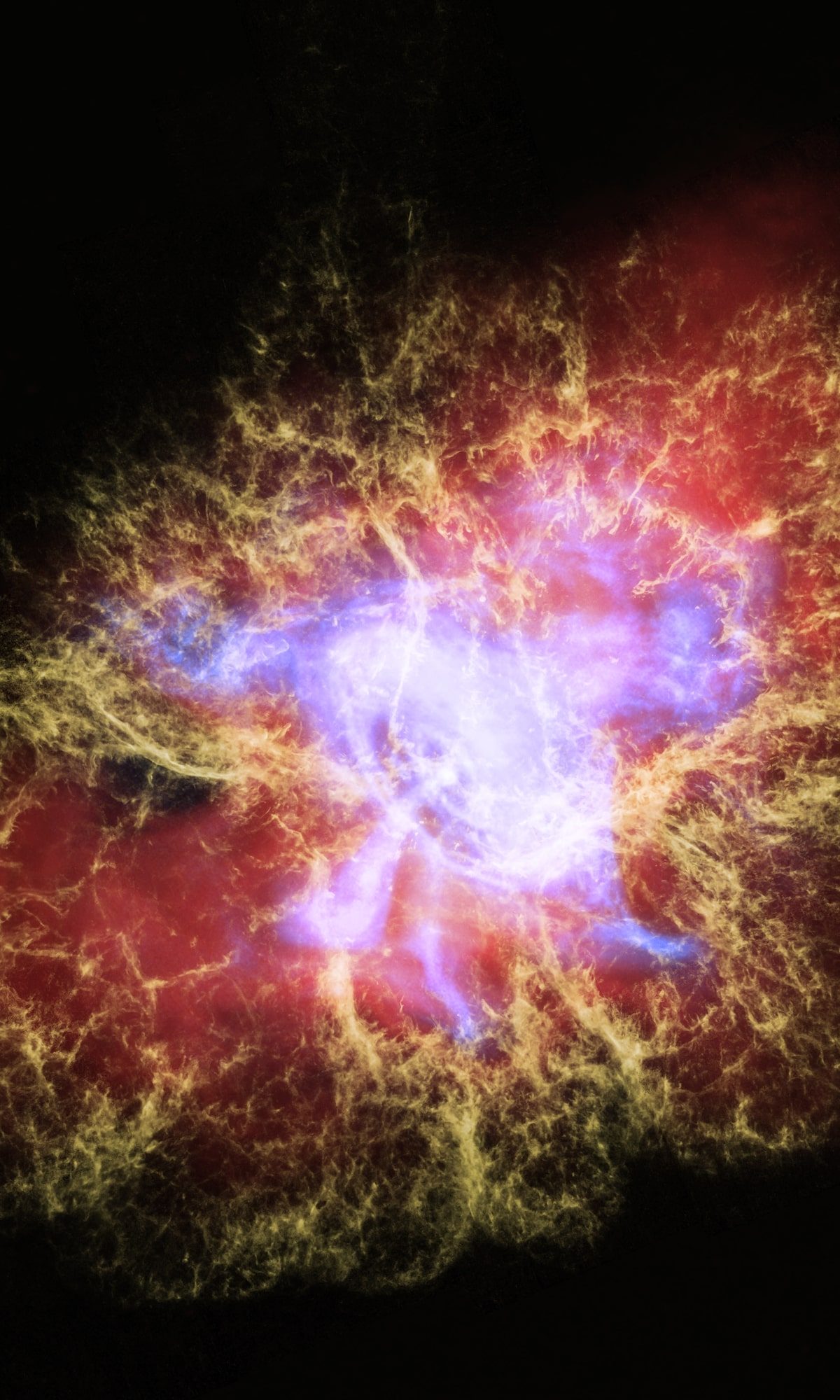 A multiwavelength image of the Crab Nebula