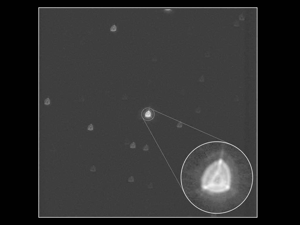 First image of the star chosen as target for CHEOPS after cover opening.