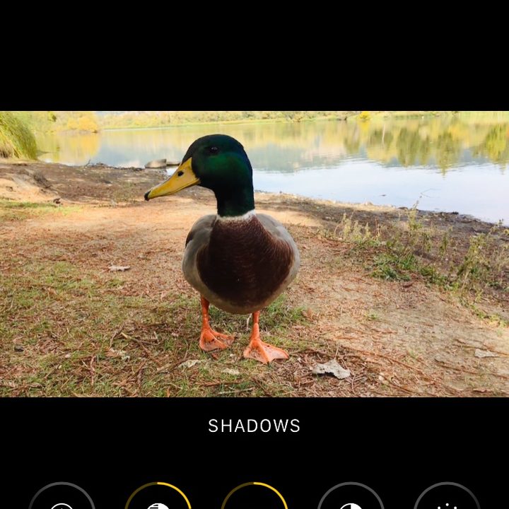 iOS video adjustments