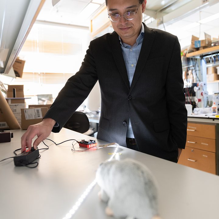 Alzheimers research flashing lights