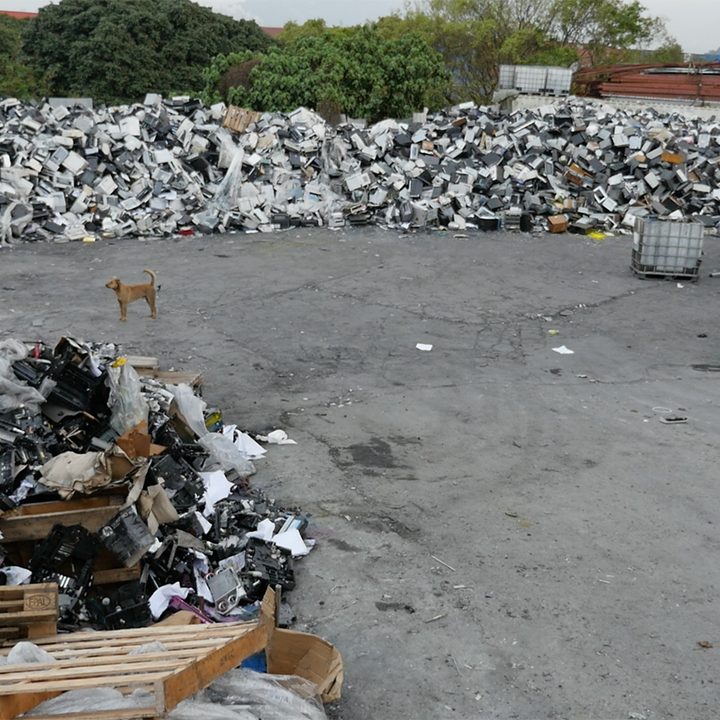 dog surrounded by e-waste