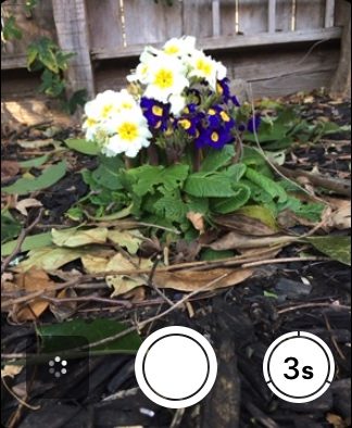 Apple Watch Camera view.