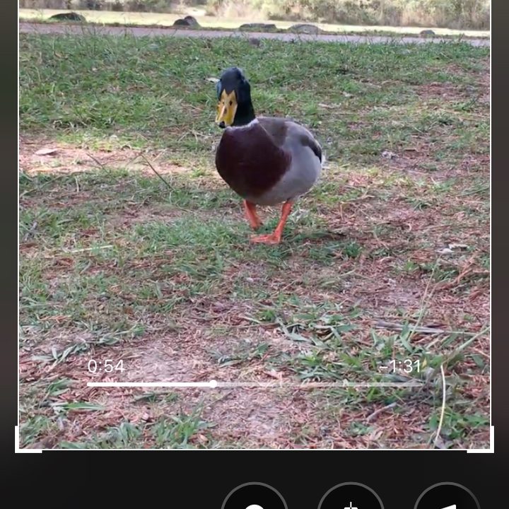 iOS video filters