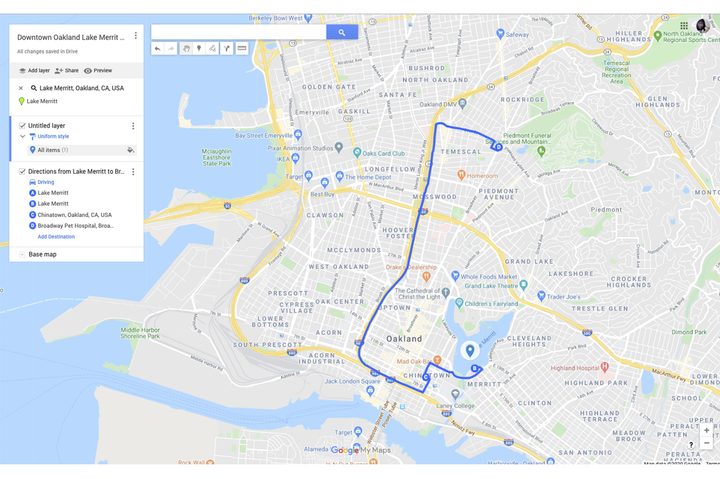 Google Maps custom map