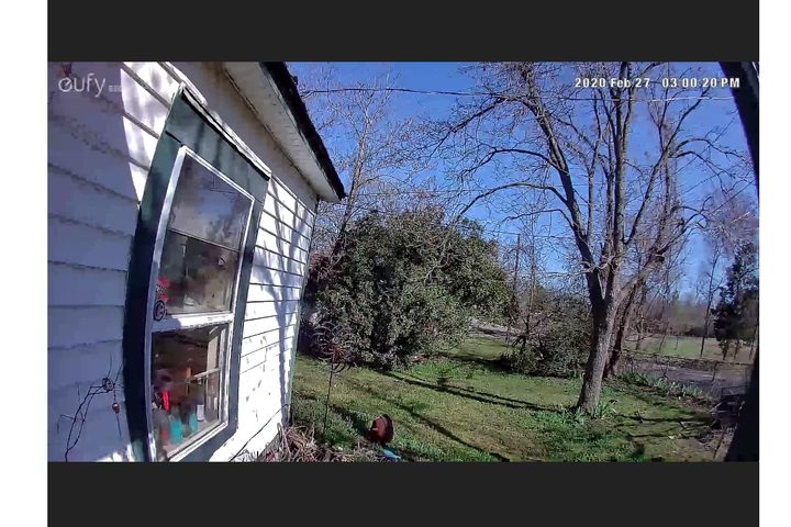 eufyCam 2 video