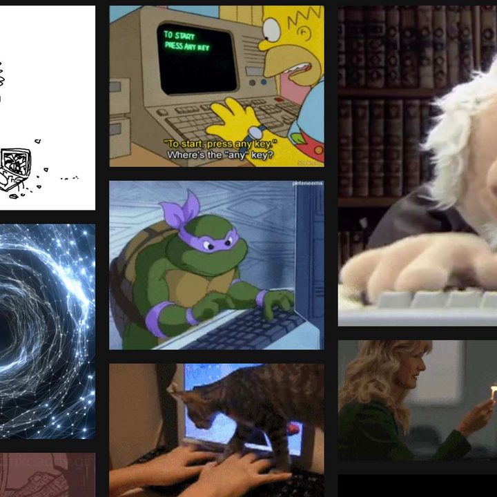 GIPHY Website