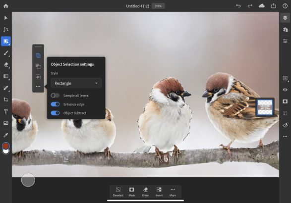photoshop is 30 object selection tool