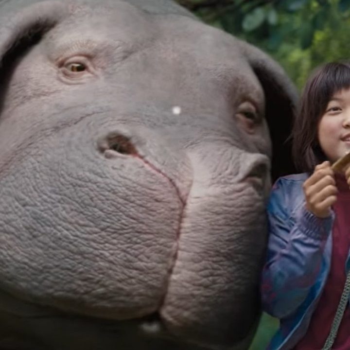 A girl and Okja in "Okja."