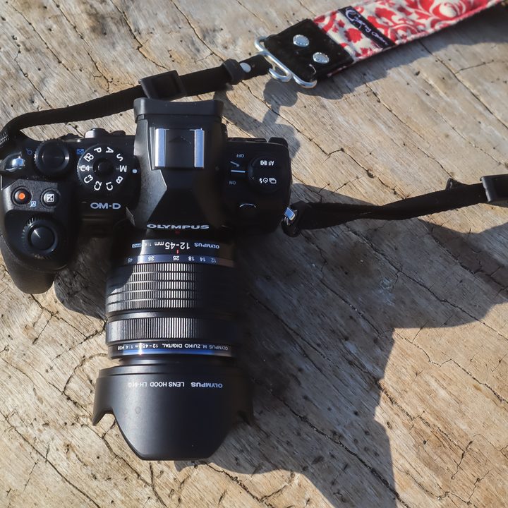Olympus OMD E M1