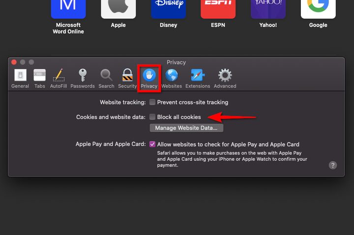 Safari Enable Cookies
