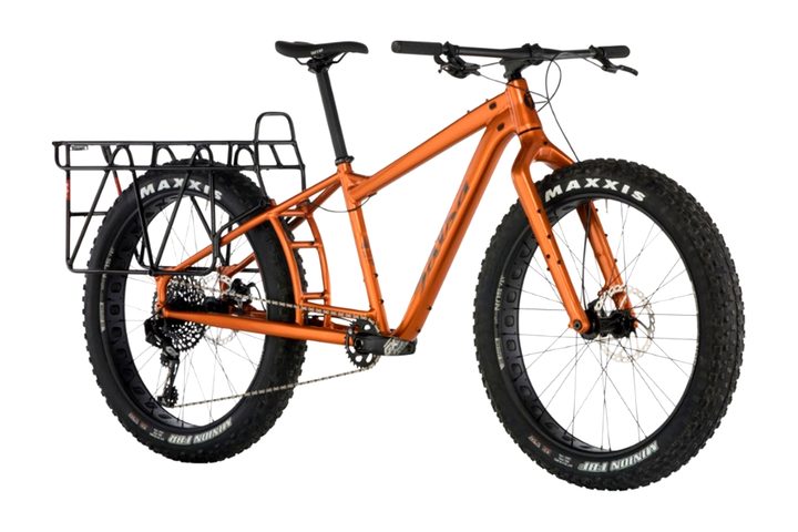 Salsa Blackborow Fat Bike