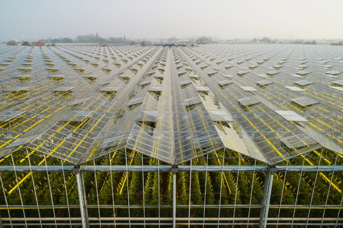 Solar cells greenhouses
