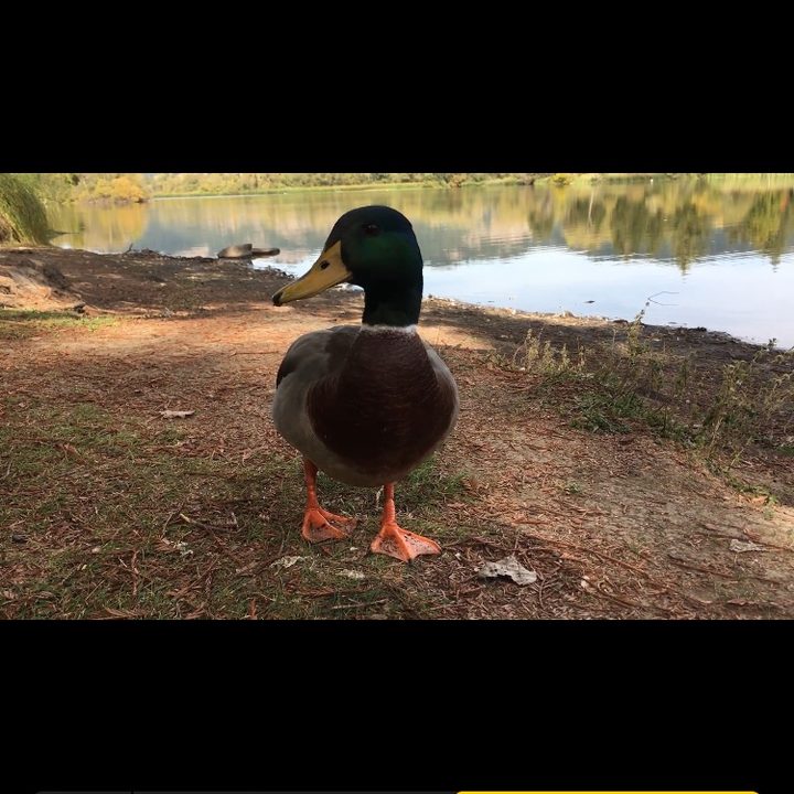 iOS trimming video