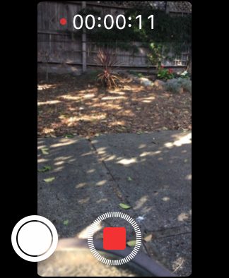 Apple Watch remote video fast forward.
