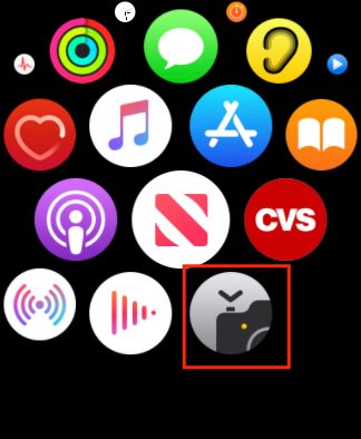 Apple Watch Camera Remote icon.
