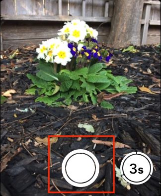 Apple Watch camera remote shutter button.