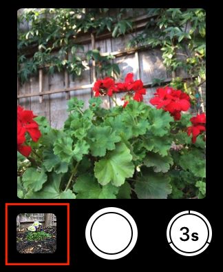 Apple Watch Camera Remote image preview.