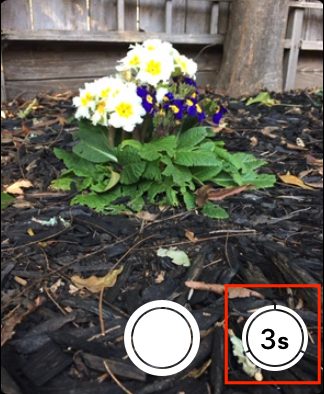 Apple Watch Camera Remote countdown.