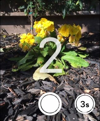 Apple Watch Camera Remote countdown 2.