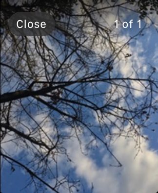 Apple Watch Camera Remote image sequence.