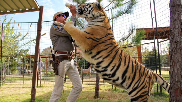 Best shows on Netflix Tiger King