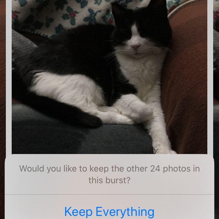 iPhone burst photos