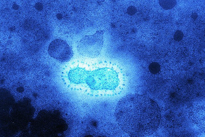 Coronavirus