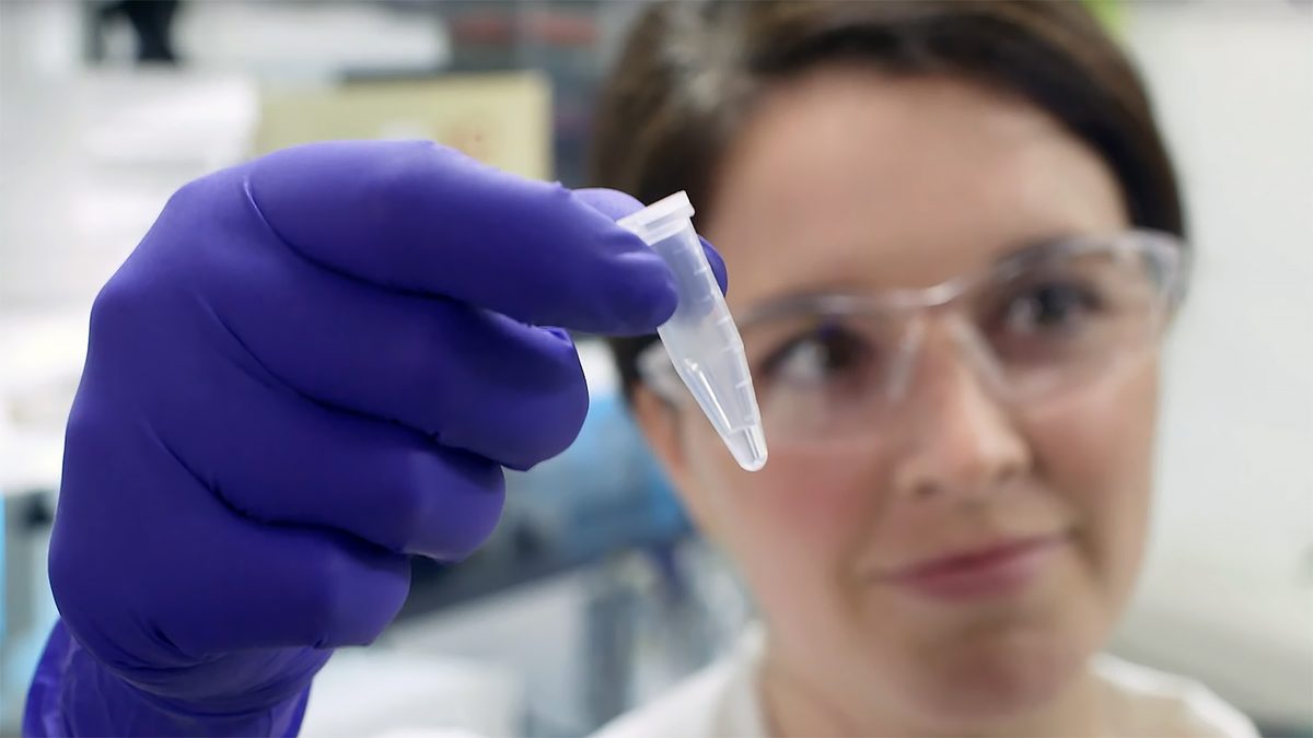 Catalog DNA Data Storage