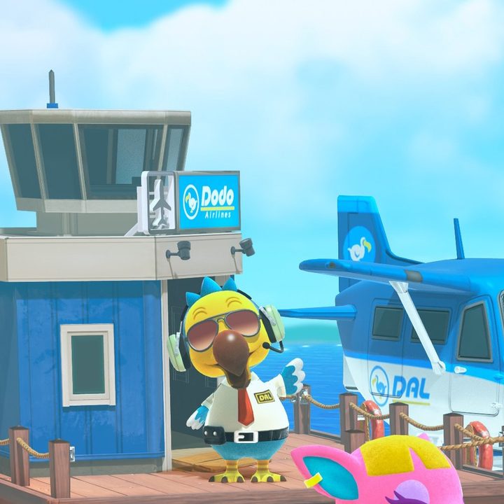 A pelican pilot outside the airport.