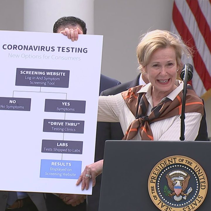 Dr Deborah Birx at Trump's press conference