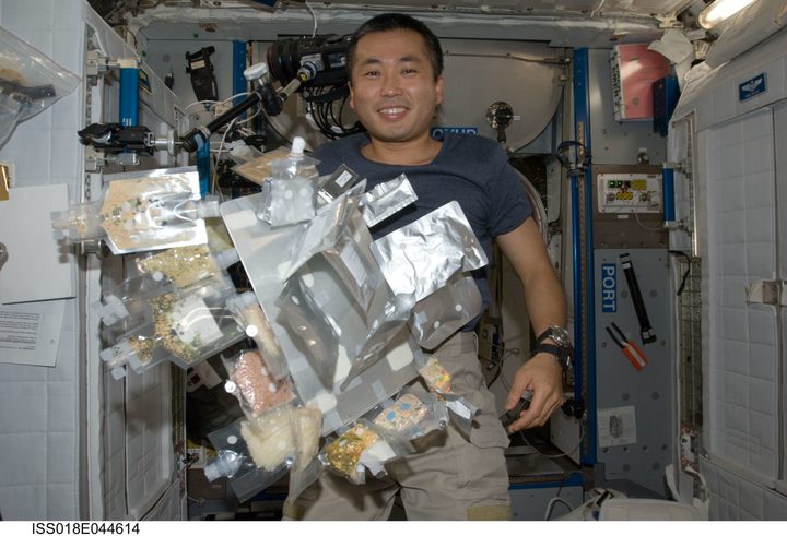 Japan Aerospace Exploration Agency (JAXA) astronaut Koichi Wakata, Expedition 18/19 flight engineer, is pictured near food and drink containers floating freely in the Harmony node of the International Space Station.