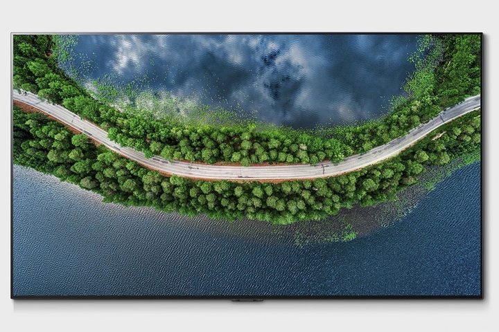LG 2020 GX Series OLED TV