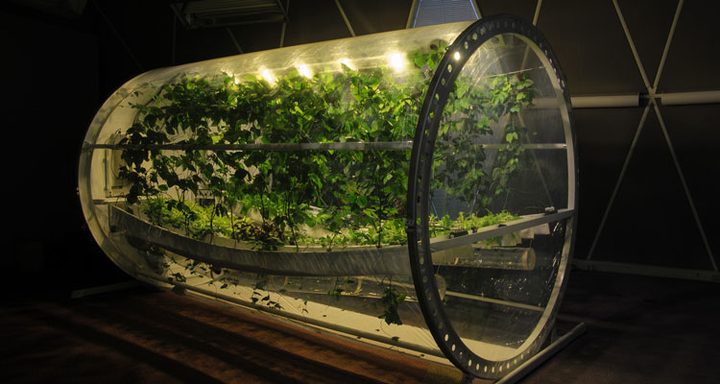 The 18-foot long, 7-foot diameter lunar greenhouse chamber is equipped as a prototype bioregenerative life support system.
