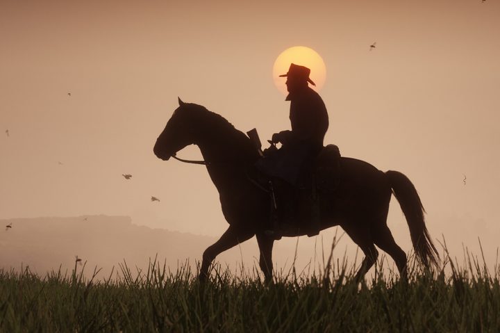 read dead redemption solo shot