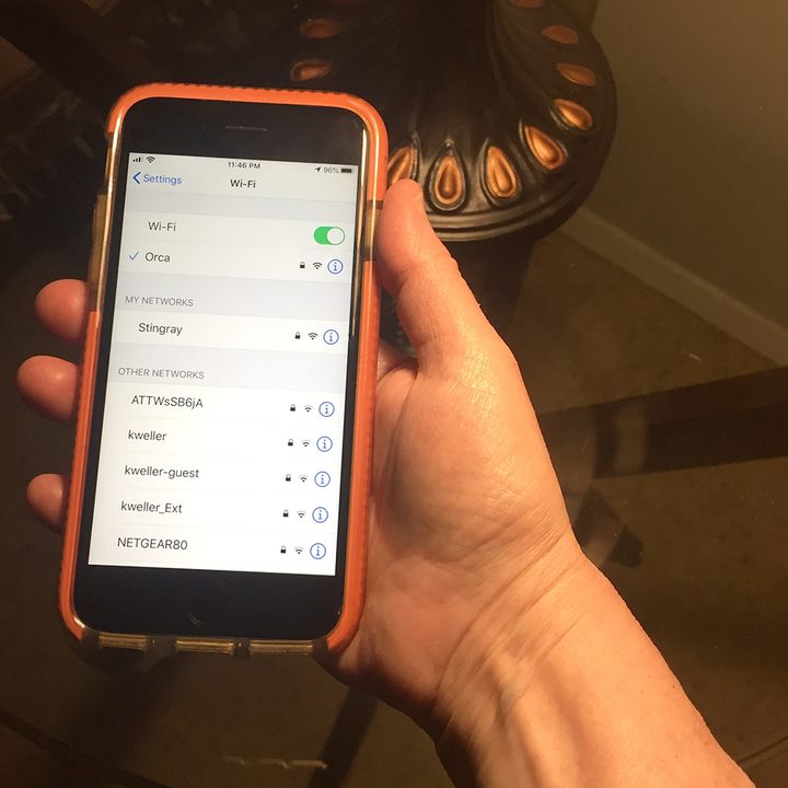 Sharing iOS passwords.