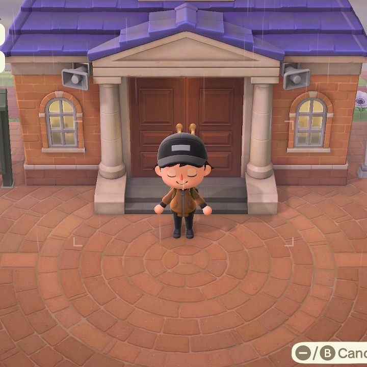 Animal Crossing player using the camera app.
