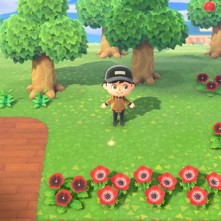 Garden in Animal Crossing: New Horizons.