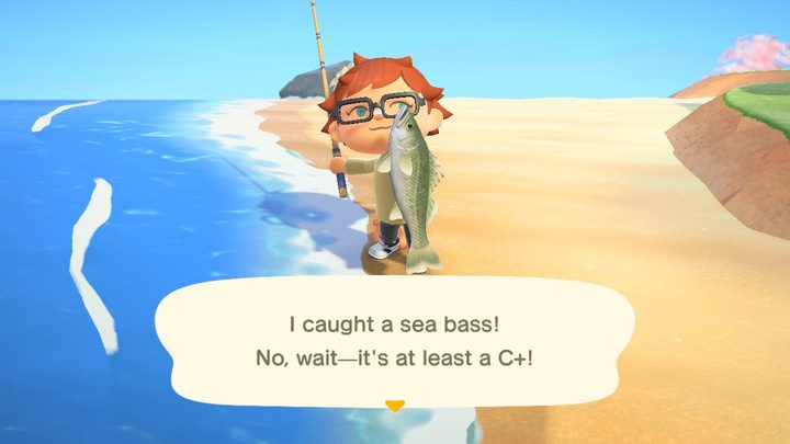 Animal Crossing sea bass