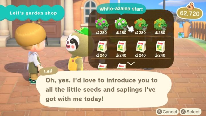 Animal Crossing Leif items